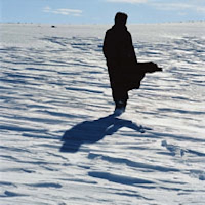 Isaac Julien's True North Series is part of the Performa Biennial.