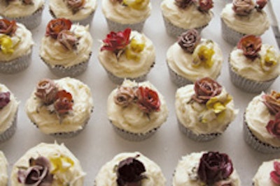 Cupcakes by Lauren Elizabeth