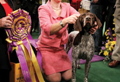 Westminster Kennel Club Dog Show