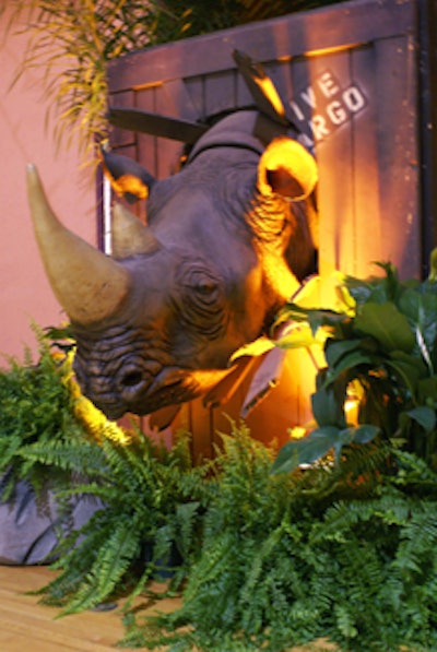 Upon entering the space, guests were thrust into an African safari complete with a 40-foot mural of a tiger's eyes above the center of the stage.