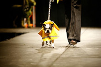 Dogs walked the runway at the Washington Humane Society fashion show.