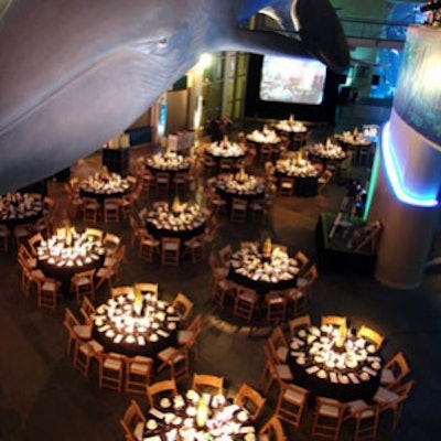 Aquarium of the Pacific banquet.