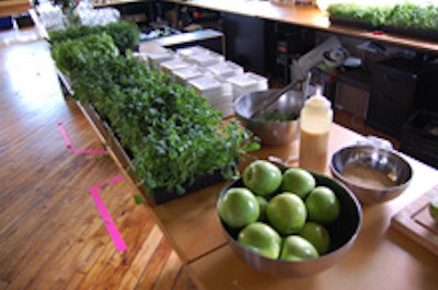 Flats of lettuces at the Raw launch party.