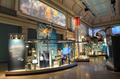 Sant Ocean Hall at the Smithsonian National Museum of Natural History