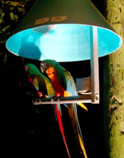Parrots perched on lights along the pathway to the Treetop Ballroom talked to guests as they walked by.