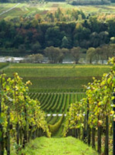 Virginia wine country