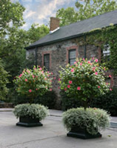 Snuff Mill