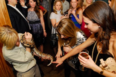 A ball python for guests amusement at the Wildlife Conservation Society's gala.