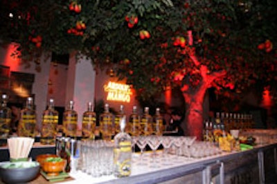 The supposedly replantable tree at the Absolut Mango launch