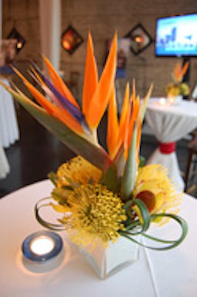 Tropical centrepieces topped table.