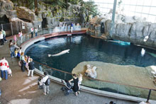 oceanarium new bedford ma