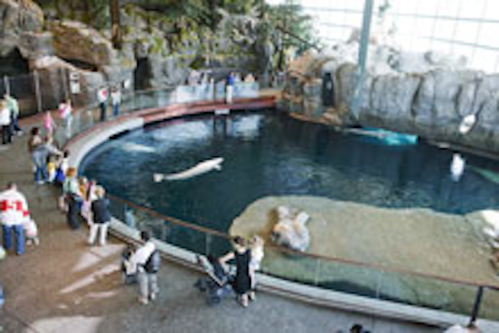 Shedd Aquarium S Renovated Oceanarium Provides Event Space For