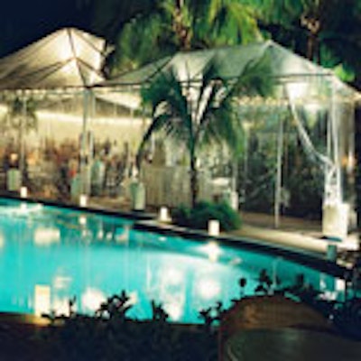 R803660palms5 01