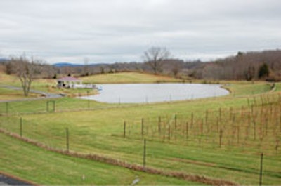 The pond and pavilion at Narmada Winery