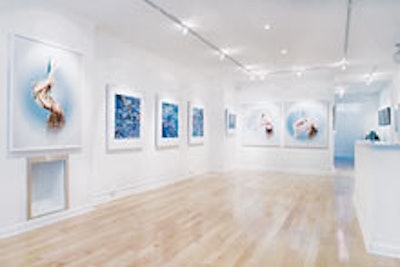 O 'Born Contemporary
