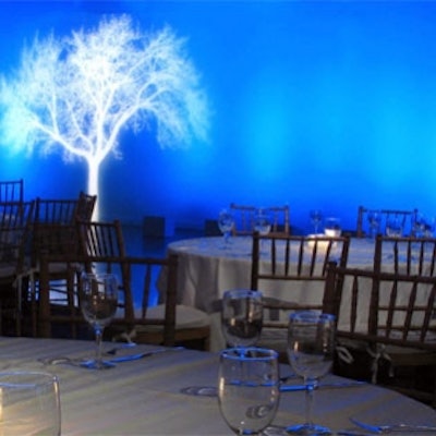 R777811bluetree