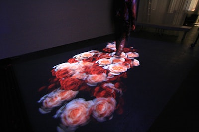 Levy Lighting's iShadow