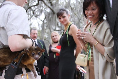Zoo handlers brought animals to meet guests at the cocktail reception