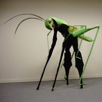 Grasshopper Stiltwalker