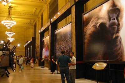 National Geographic Celebrating Africa - Exhibit Fabrication