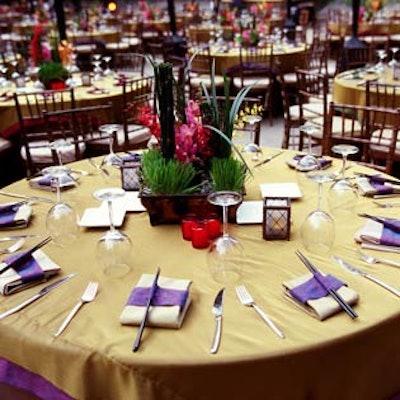 R860725jungle Tables