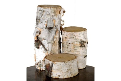 White birch is a stylish and inexpensive way to create a tabletop display with a wintery forest look. Pair Brooklyn-based Nettleton Hollow's new birch pillars, from $4 to $12.25 each, with fresh pine boughs or votives.