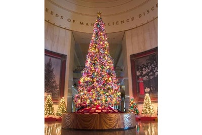 Museum of Science and Industry's Tree-Filled Space