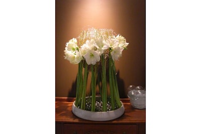 San Remo Flowers can design floral arrangements featuring amaryllises for the holidays.