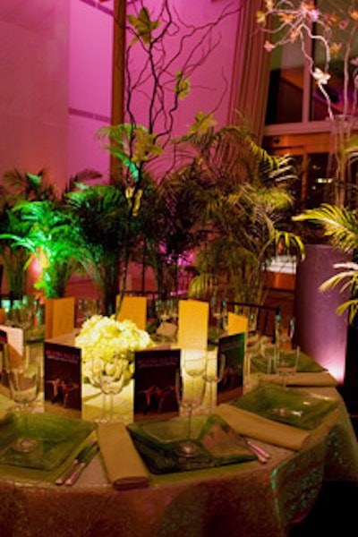 The tables were set with sparkling cloths and ringed with tall ferns.
