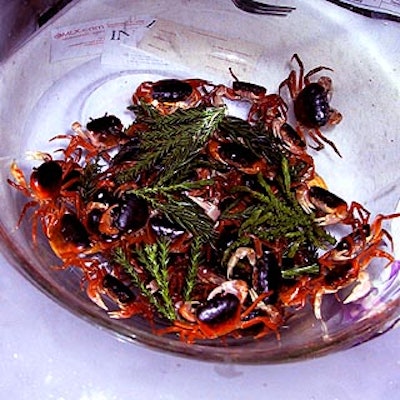 Sushi Samba had a bowl of live tiny crabs on its tables, just like the crabs the restaurant keeps in the kitchen before deep-frying them for an extra-fresh meal.