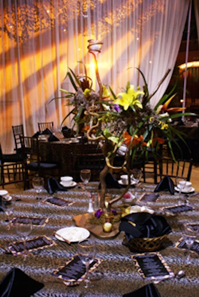 A tiger-stripe gobo was projected onto the drapery used to divide the cocktail reception from the main dining area.