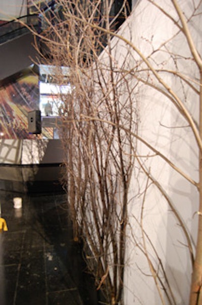 An arbourist collected the branches for the backdrop.