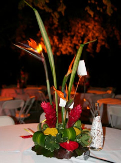 The tables at the V.I.P. party were each topped with a bird-of-paradise centerpiece from Curbside Florist & Gifts and accented with two special-edition glass Evian bottles created by fashion designer Christian Lacroix.