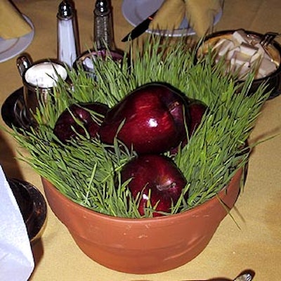 Atlas Floral Decorators provided these Garden of Eden-esque centerpieces with clay flower pots filled with grass and shiny red apples.