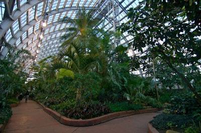 Guests could explore the entire Garfield Park Conservatory property during the event.