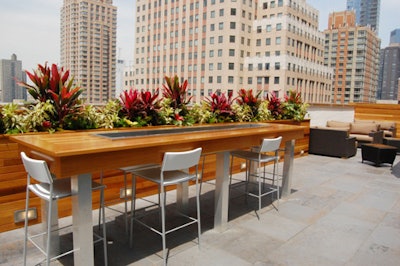 In addition to the garden trimmings, Highbar's rooftop patio features a view of the surrounding neighborhood.