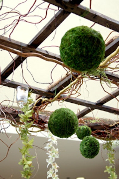 To decorate the dinner tents, the Flower Firm created hanging arrangements of flowers, leaves, and twisted branches.