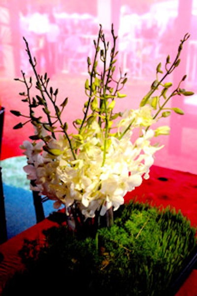 Wheatgrass and dendrobium orchid floral arrangements added to the earthy ambience.