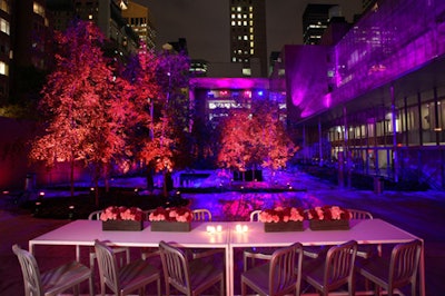 Pink lighting overtook MoMA's courtyard.
