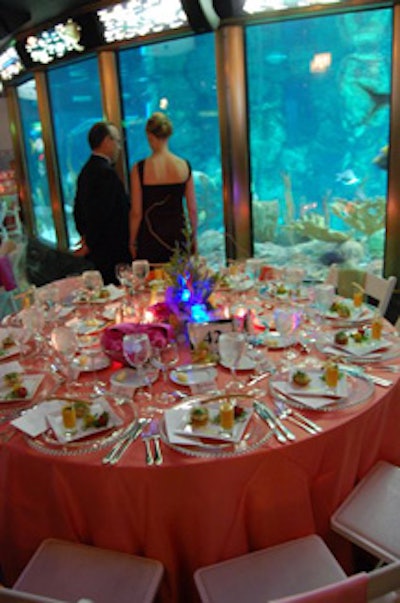 Dinner tables flanked the aquarium's central fish tank, and guests dined while exotic fish and Nickle (the Shedd's resident green sea turtle) swam by.