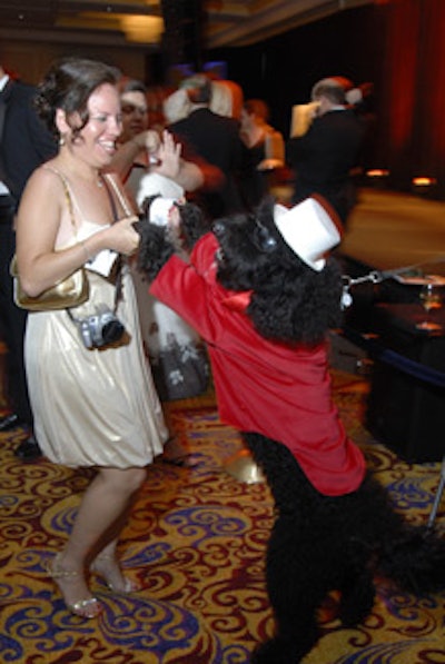 Dressed-up pooches and their owners danced for an hour after the dinner to such tunes as Baha Men's 'Who Let The Dogs Out.'
