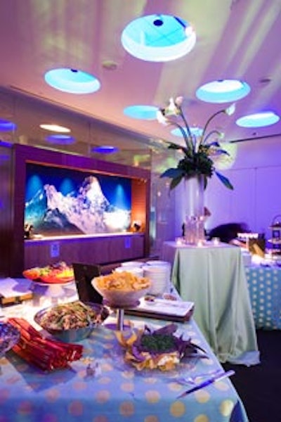 The second part of the conference area paired the blue space-age overhead lighting with blue polka-dot linens (and Discovery's photograph of a mountainscape).