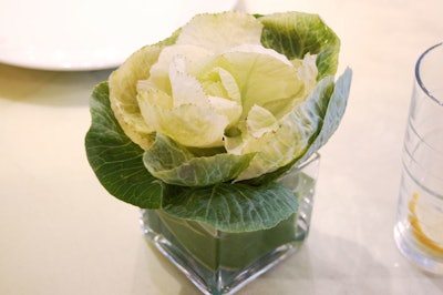 Glass cube vases holding kale leaves shaped to look like a flower sat at each place setting.