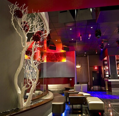 Decor includes natural elements like trees.