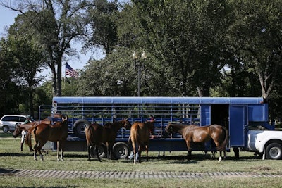 The horses were taken into consideration when deciding to reschedule the event.