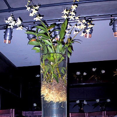 Bloom's hydroponic flowers made a fitting decor touch for the launch party for the new Healing Garden Waters fragrances, which are made with hydroponic flowers.