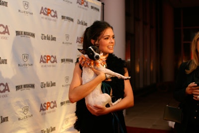 Honorary chair Katie Lee Joel hosted the evening, which also drew celebrity supporters such as Lake Bell and Kristen Johnson.