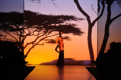 For his show, sponsored by the Bay and entitled 'Walk to Freedom,' David Dixon projected scenic images of South Africa on the upstage wall.