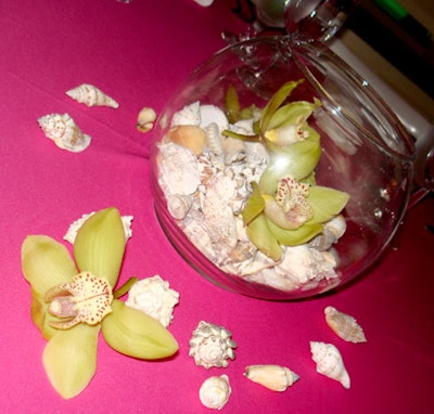 Fishbowls filled with seashells and green orchids topped each table.
