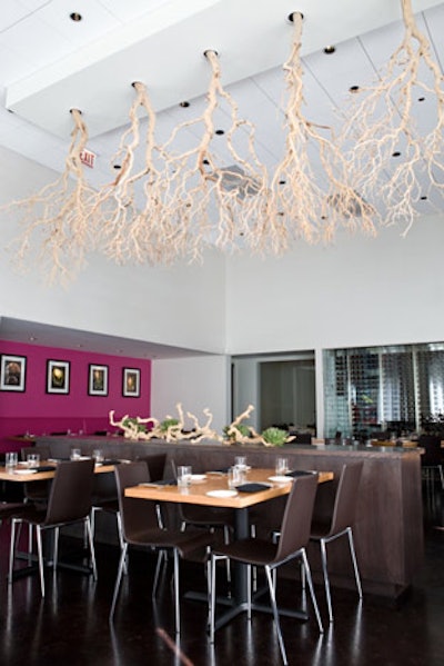 Five petrified and sandblasted manzanita trees hang from the venue's ceiling.